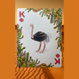 Mazzo di carte Bicycle Balloon Desert Playing Cards