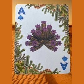 Mazzo di carte Bicycle Balloon Desert (Stripper) Playing Cards