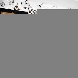 Mazzo di carte The Four Seasons White Boxset Playing Cards