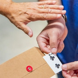 Canon (Gimmicks and Online Instructions) by David Regal