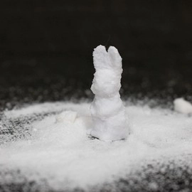 SUGAR BUNNY by Steve Fearson