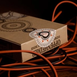 Mazzo di carte Oppenheimer Fission Playing Cards by Room One