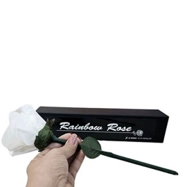 Rainbow Rose by JL Magic