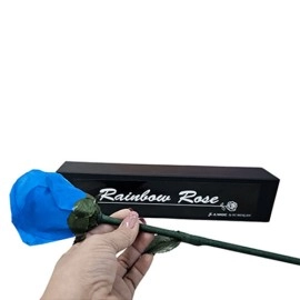 Rainbow Rose by JL Magic