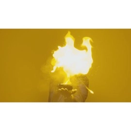 Inflamed by Bond Lee