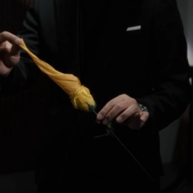 Eternal Rose by Bond Lee