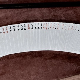 NYX Velvet by Luca Volpe