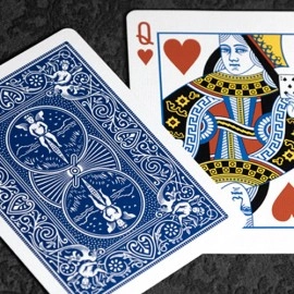 Marked Bicycle Rider Back (Blue) by Ondrej Psenicka