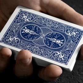 Marked Bicycle Rider Back (Blue) by Ondrej Psenicka