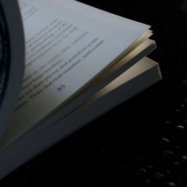 Pocket Book by Peter Turner