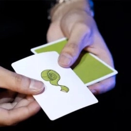 Size by Viki Gong and Amor Magic