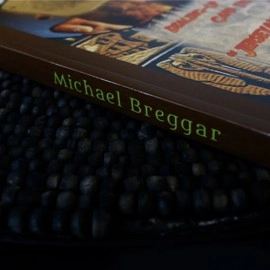 Raiders of the Lost Card by Michael Breggar
