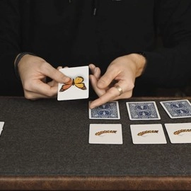 Caterfly (Blue) by My Magical Project