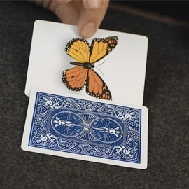 Caterfly (Blue) by My Magical Project