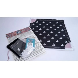 Pocket Bunny by Lee Alex