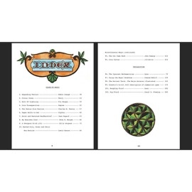 Personal Magic, The Secret Books of Eric Lewis, Vol.2