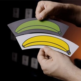 BANANAS! by Apprentice Magic