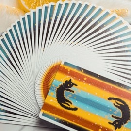Mazzo di carte Space Cat V2 Playing Cards by King Star