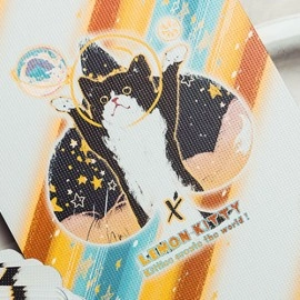 Mazzo di carte Space Cat V2 Collector's Box Set Playing Cards by King Star