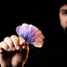 SPRING FLOWERS (2 PK PAPER) by Murphy's Magic