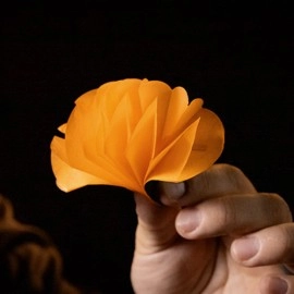 SPRING FLOWERS (2 PK PAPER) by Murphy's Magic