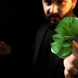 SPRING FLOWERS (2 PK PAPER) by Murphy's Magic