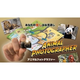 Animal photographer