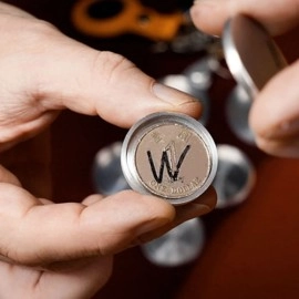 Vault Pro by David Penn