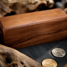 The Oddest Coin by David Penn & TCC Magic