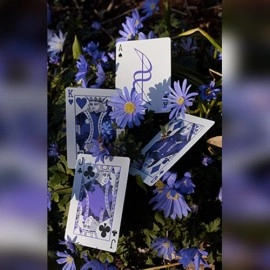 Dream of Butterflies by YD Cards