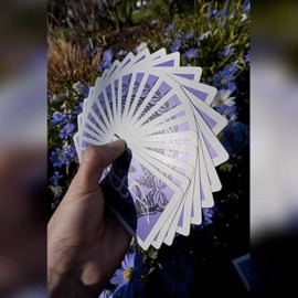 Dream of Butterflies by YD Cards