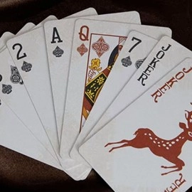 Mazzo di carte WANQUAN Playing Cards