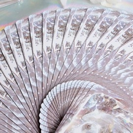 Mazzo di carte Chromium playing cards by Evokad