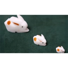 The Bunnies! 3D Rabbits (Parents, Kids & Grandpa)