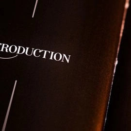 Subtle Secrets 1 by Thibault Ternon