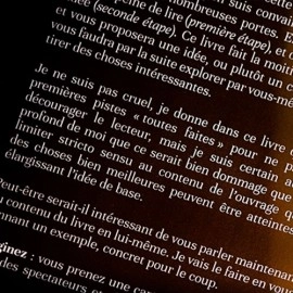 Subtle Secrets 1 by Thibault Ternon