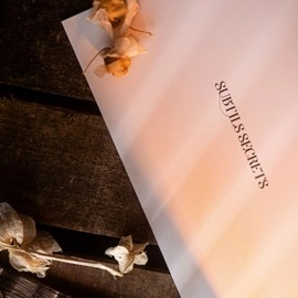 Subtle Secrets 1 by Thibault Ternon