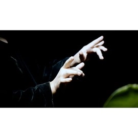 Double Production by Bojan Barisic and Stage Elegance