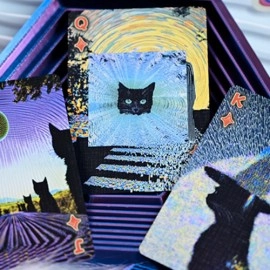 Mazzo di carte Radio Cat V2 Deck with Grating tuck case by Evokad