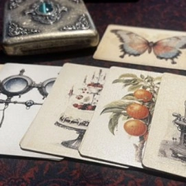 The Papilio Experiment by Dead Rebel