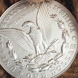 Bacon Jumbo Coin (Morgan) by Bacon Magic