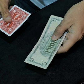 Divisa by Adrian Vega