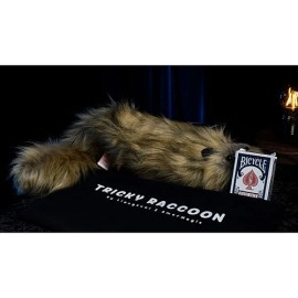 Tricky Raccoon by Liang Kuai & Amor Magic
