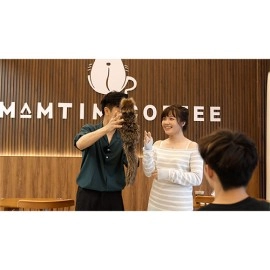 Tricky Raccoon by Liang Kuai & Amor Magic