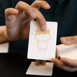 Hungry Hamster by Liang Kuai & Amor Magic