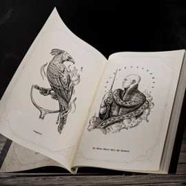 Harry Potter Self-Coloring Book by theory11
