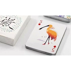 Mazzo di carte Illustration Poker Playing Cards