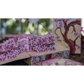 Mazzo di carte Sakura Renaissance 3D Pop-up Sunlight Edition Playing Cards