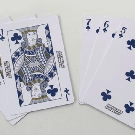 Mazzo di carte Georgia Southern Playing Cards