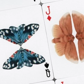 Mazzo di carte MOTHS (Stripe Edition) by Matthew Palladino